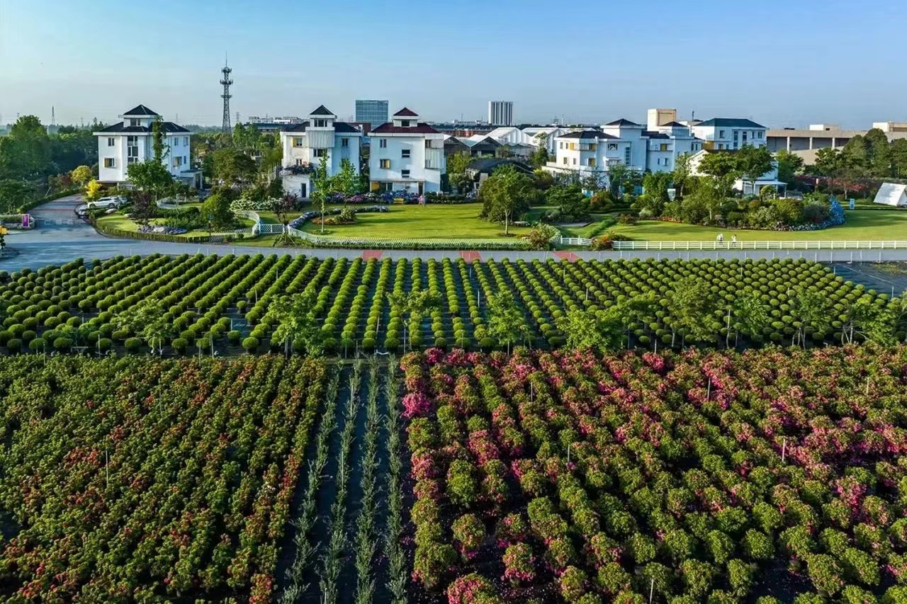 ���겻���ȣ�9001cc��ɳ�Գ�Ϊ��������������Ӫҵ����֪ͨ��