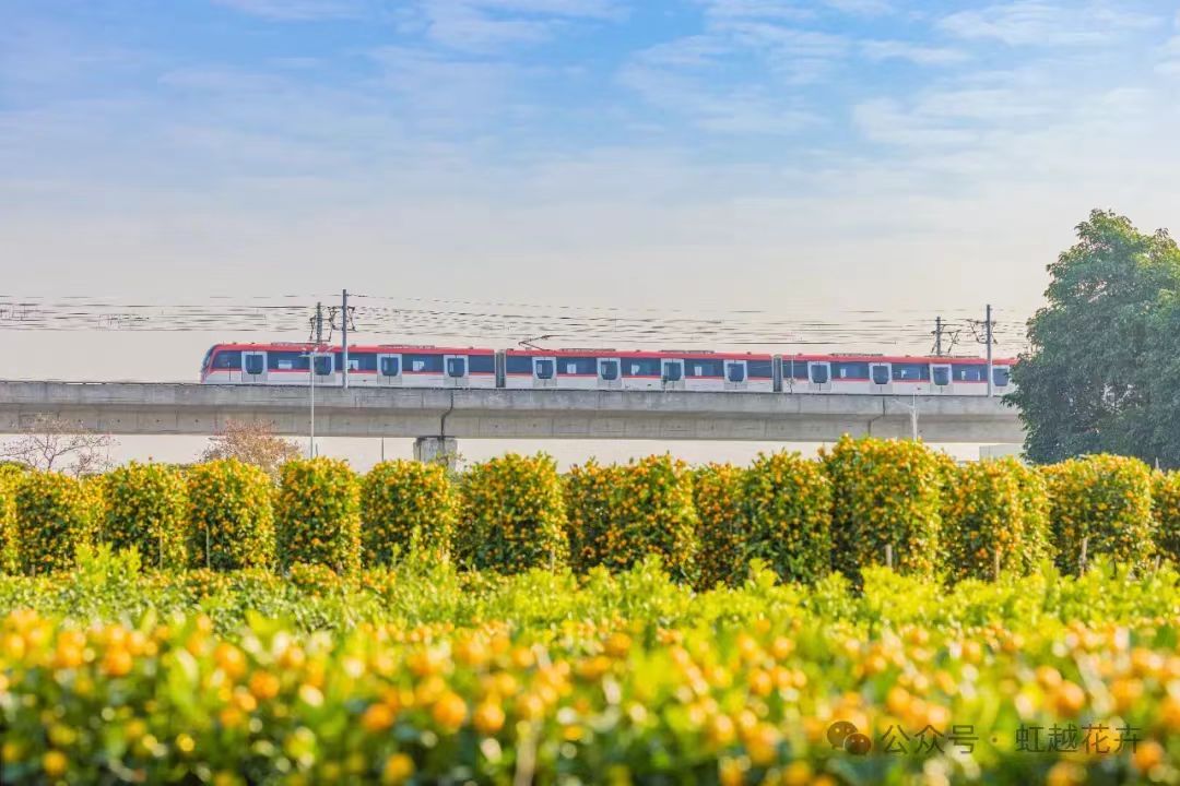 3�������»�չ������԰�մ����������Ư�������·���