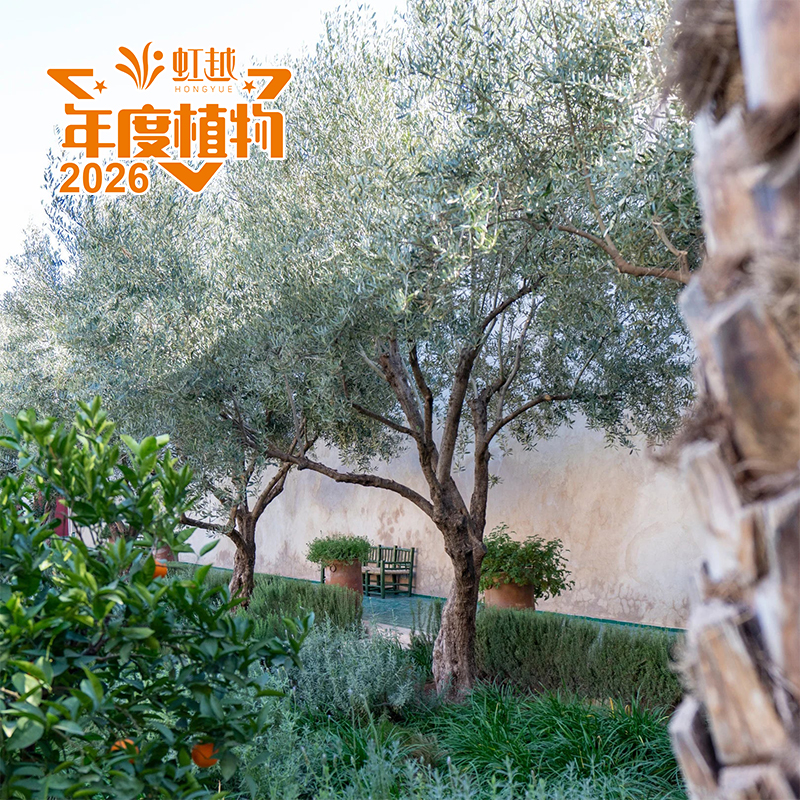 9001cc��ɳ�Գ�Ϊ��?�����