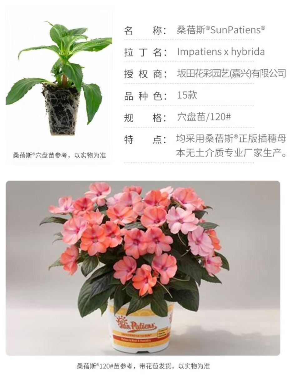 1610069947840253.jpg ΢ÐÅͼƬ_20201128133955.jpg