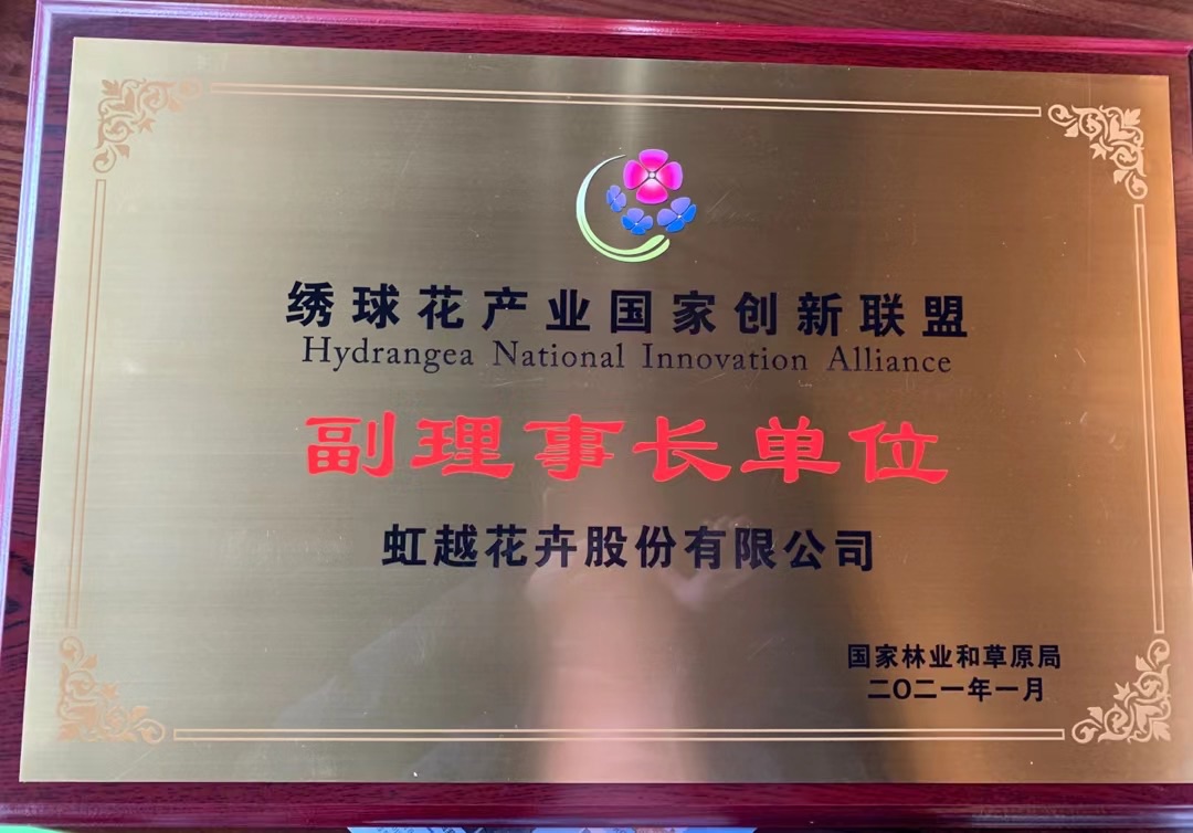 1610091590817717.jpg ¹ÙÍø3.jpg