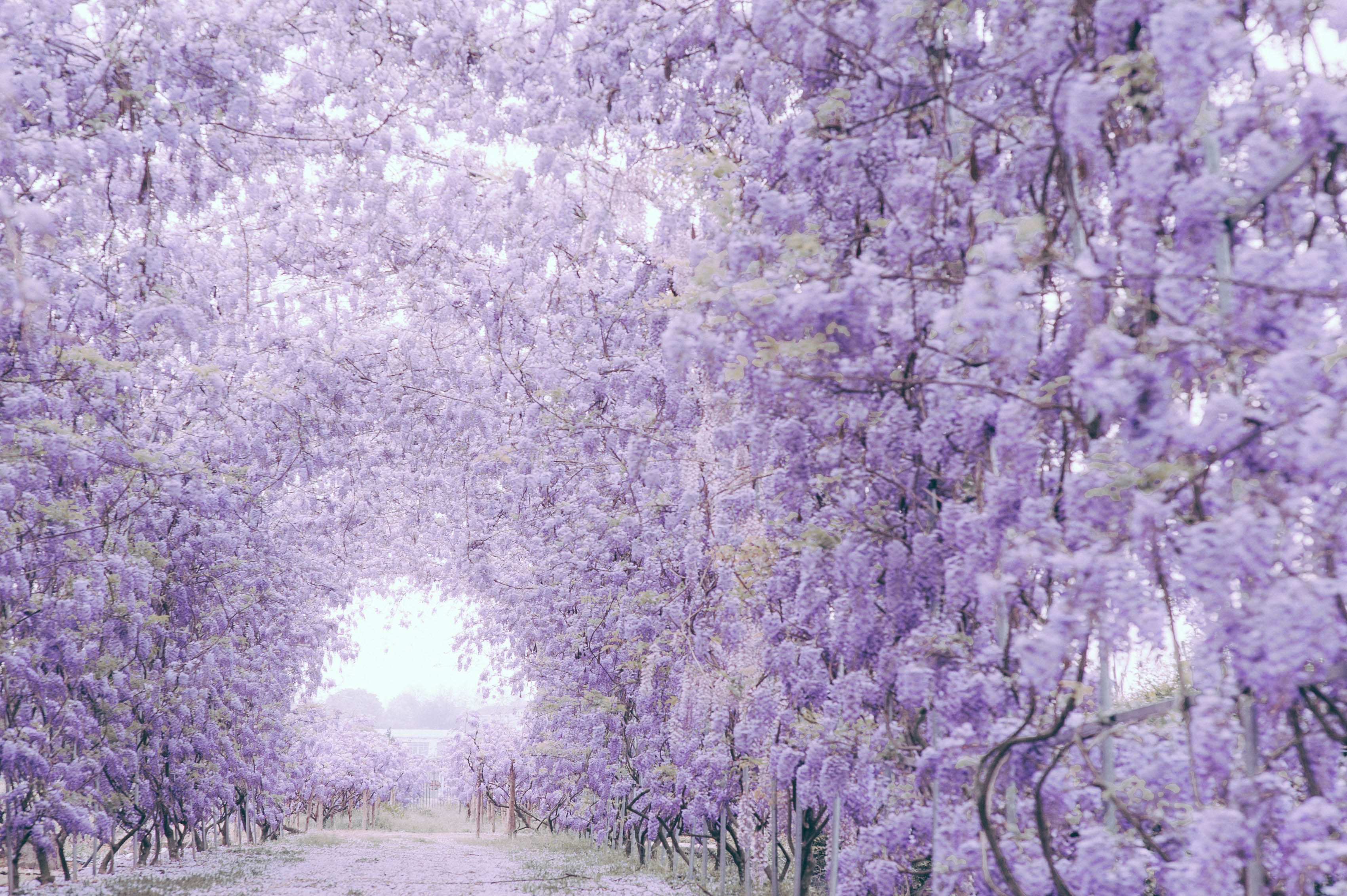 1622425340491837.jpg 2018×ÏÌÙ (3) - ¸±±¾.jpg