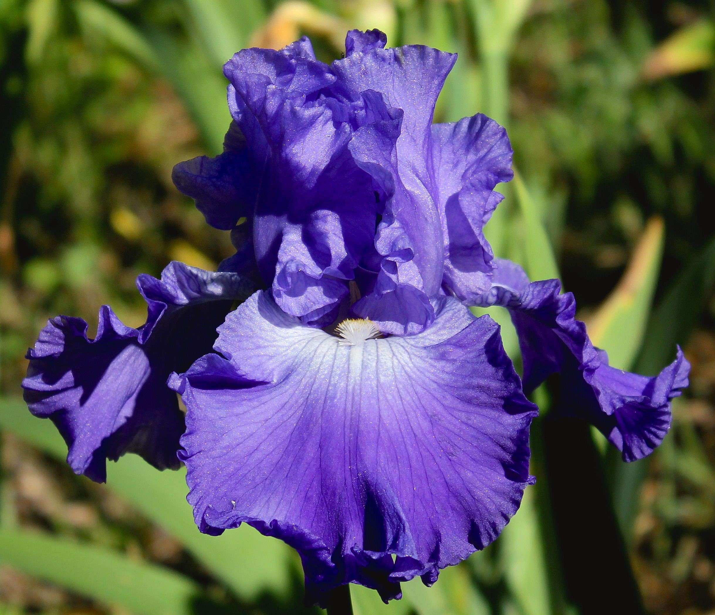 1622425839241680.jpg 32ð°Î²À¶µ÷.jpg